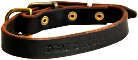 Dean e Tyler B&B Collar - hardware de latão sólido - marrom - tamanho 8 x 3/4 de largura. Se encaixa no pescoço de