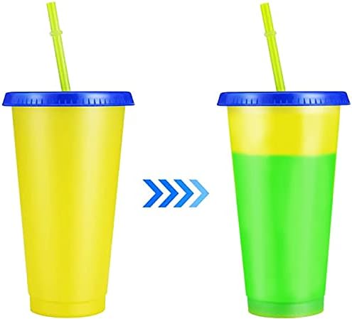 Copos de cor de cor reutilizáveis ​​copos com tampas e canudos 24oz 5 pacote 750ml BPA PLÁSTICO BPA CUPAS DE FESTO