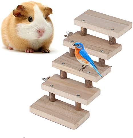 5 camadas de madeira escada de animais pequenos, animais de estimação mastigando brinquedos subindo as escadas de animais