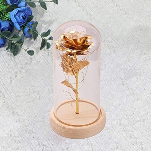 PretyZoom LED Rose Glass Dome Light Mini Glass Cover Artificial Rose Lamp Desktop Ornament for Mother Friends Fidros sem