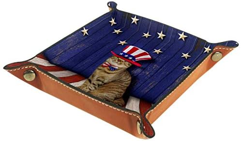 Lorvies parede patriótica e caixa de armazenamento de gatos Cubas de cesta de cesta de recipientes para o escritório em casa
