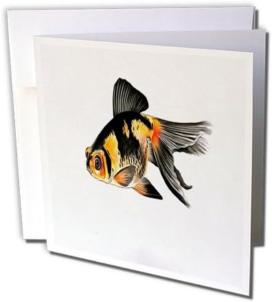 3drose Demekin Goldfish isolado em branco - cartão de felicitações, 6 x 6, solteiro