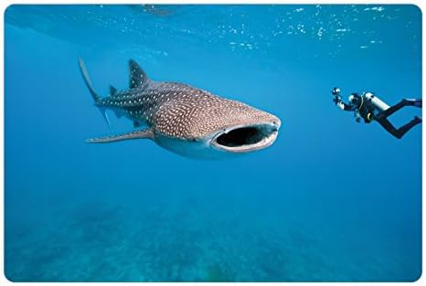 Ambesonne Shark Pet tapete para comida e água, tubarão-baleia gigante e fotógrafo subaquático na imagem de mergulho da vida selvagem,