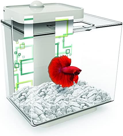 1,35 galão de aquário Betta não oferece bagunça, manutenção de estresse e inclui fundo decorado de dupla face e seixos
