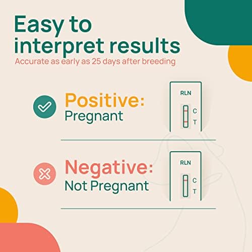 Teste de gravidez para cães para criadores - resultados precisos e instruções claras - em casa Kit de teste de gravidez