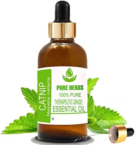 Ervas puras Catnip Pure & Natural Terapeautic Grade Essential Oil com conta -gotas 15ml