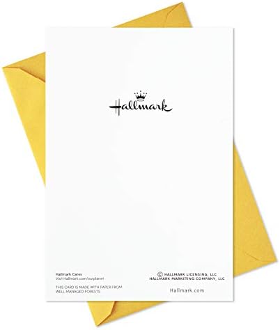 Hallmark Pack de 10 cartões de graduação com envelopes