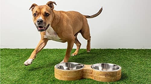 Casca corajosa Figura 8 alimentador - cão premium e gato tigela dupla vem com 2 inserções de aço inoxidável perfeitas para comida e água