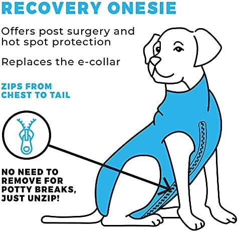Traje de recuperação de zagueiro para cães-visto no tanque de tubarões, onesie de cães pós-cirurgia, veterinário aprovado, camisa