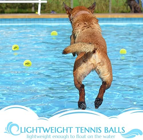 Bolas de tênis de cachorro adcsuitz - 6 pacote de 6 pacote 2,5 Squeaky interativo brinquedos de cachorro bolas para tocar exercícios