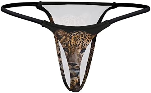 Leopard descansando em um tronco contra uma calcinha preta para mulheres G String Roufera Não compare as cuecas