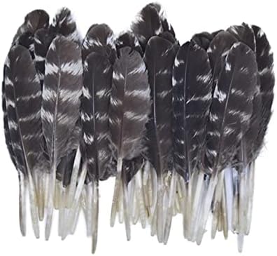 20 PCS Feathers naturais para artesanato Favoridade Feather Peru Feathers