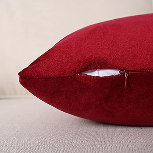 MZPSO Pack de 2, Velvet Super Soft Solid Solid Decorative Pillow Capas de travesseiro conjunto Caixa de almofada para sofá