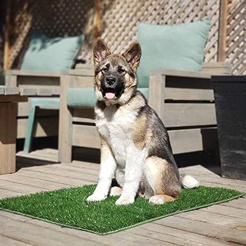 Hompet Dog Grass bloch com bandeja grande, 2 PCs Pontos de treinamento artificiais de grama com pee defletor Patch
