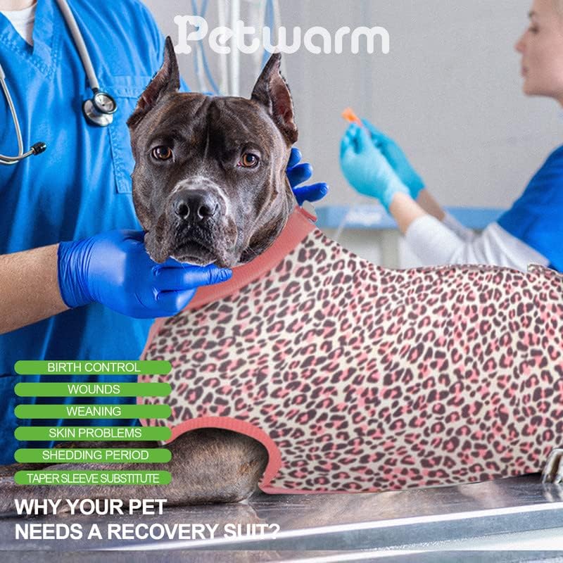 Terno de recuperação de petwarm for cães gatos-após a cirurgia o macacão para cães masculinos e femininos-pós-spay