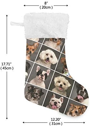 Meias de Natal de Alaza todos os tipos de cães Classic Classic personalizados grandes decorações de meia para a decoração de festa da temporada de férias em família 1 pacote, 17,7 ''