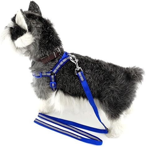 Smalllee_lucky_store 16 -24 Nylon Pet Dog Strap Harness Leash Set, pequeno, azul