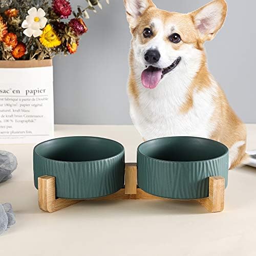 Prato de tigela de cão de gato de cerâmica verde com madeira sem derramar alimentos para animais de estimação gatos cães cães de 2 conjunto de 2