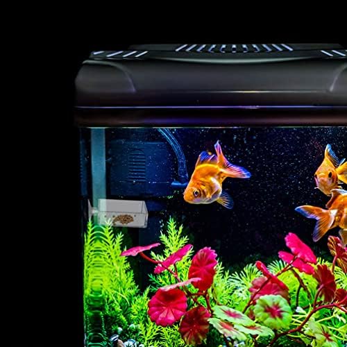 Acessórios de hamster operitacx 6pcs acrílico aquário de camarão placas de alimentador