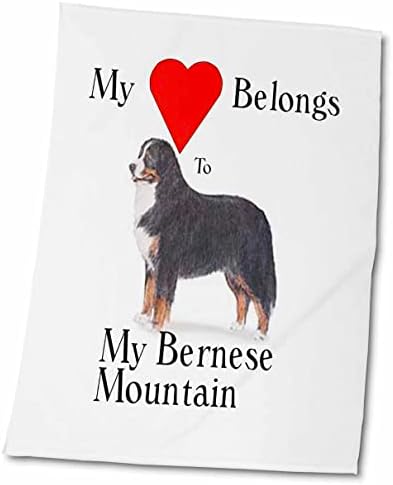 3drose meu coração pertence ao meu cachorro da montanha Bernese - toalhas