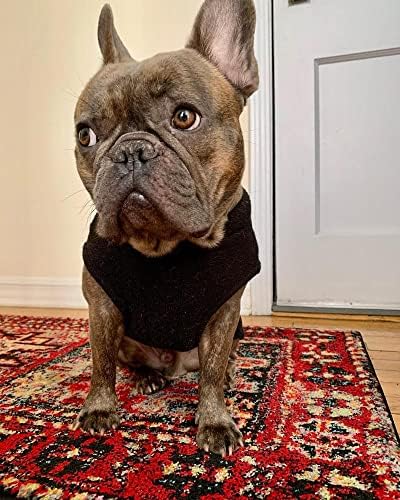 Suéter de cachorro de lã de lã para cães de gole de gole - preto, grande - jaqueta de cachorro de pulôver quente - roupas de cachorro de inverno para cães pequenos menino ou menina - suéteres de cachorro para cães pequenos para suéteres para cães para cães grandes