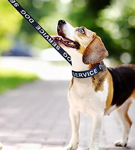Colarinho de cão de serviço de maio, colarinho de cão de cão de 1 ”e 1,5” de largura de gola de nylon forte grande colar