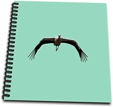 3drose white stork ciconia ciconia asas de pássaro batendo vetor - livros de desenho