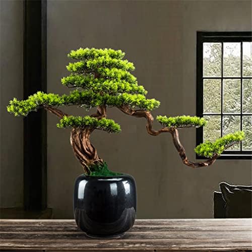 N/A Welcome Pine Bonsai Plant Home Plated Green Plant Sala de estar BONSAI Decoração interna