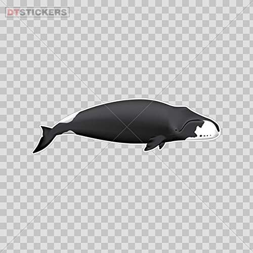 Decalques de adesivos de vinil bicicleta esportiva de baleia 3 x 0,89 pol.