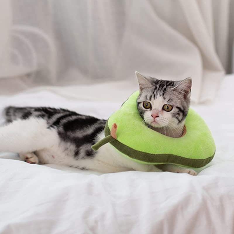 N/um gato de gato de gato de gato de algodão macio gato de gato de cicatrização de feridas evita o anel de pescoço para animais de