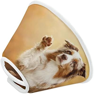 Pastor australiano Print Cone Cone Recovery Pet Elizabeth Collar Protective for After Surgery