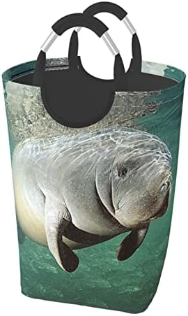 Ocean Animal Manatee Roupa de lavanderia dobrável cesto de roupa prejudicial para roupas sujas de roupas sujas com manusear