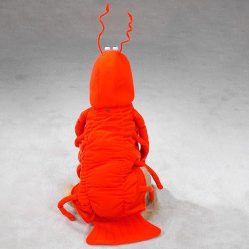 Fantasias casuais de lagosta canina