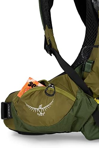 Osprey Atmos Ag LT 50L Mackpack de caminhada masculina, Vale Scenic/Green, Peppercorn L/XL