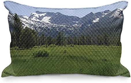 Ambesonne Idaho acolchoado na capa, montanhas sawtooth e flores silvestres no sopé perto de Stanley, capa padrão de travesseiro