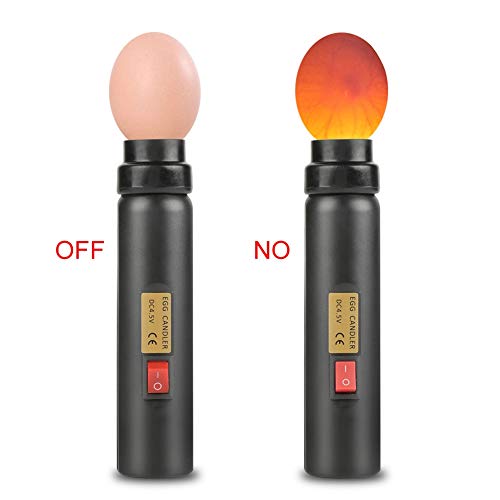 Testador de ovos Light LED Light Egg Candler Tester Egg Incubator Tool Rechargable Bright LED LUZ LED AUTO MINI INFORMA