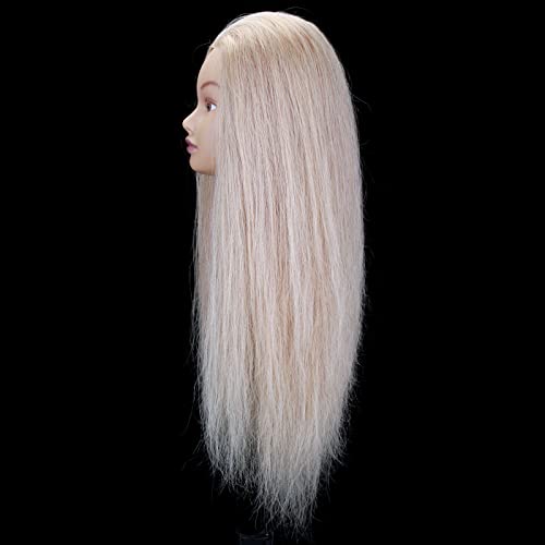 Jiayi fêmea de cabelos humanos 24-26 polegadas Manikin Treinando as tranças de estilo de cabeça de boneca para praticar cabeleireiro de cosmetologia barbeiro com grampo de mesa de suporte