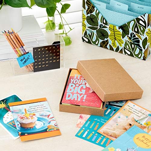 Hallmark Birthday Cards Gripatment, 20 cartões com envelopes