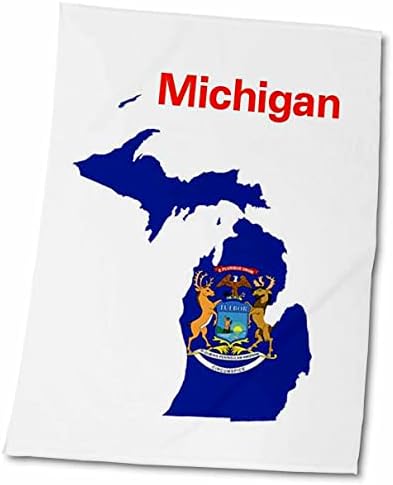 Imagem 3drose do esboço do estado de Michigan com selo e nome - toalhas