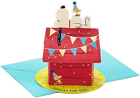 Hallmark Paper Wonder Peanuts Pop -Up Birthday Card