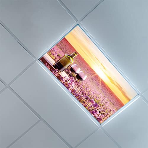 Tampas de luz fluorescentes para o teto dos painéis de luz dos painéis de viva-ganha