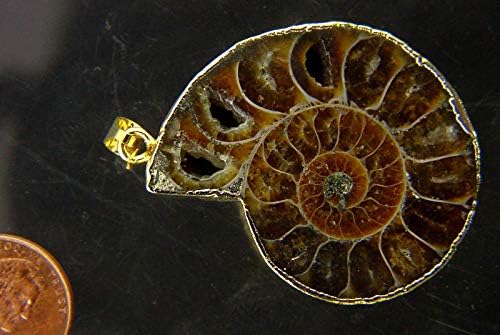 Amonita náutilóide fóssil amosal pingente jóias jóias de lapidary 24 cadeia