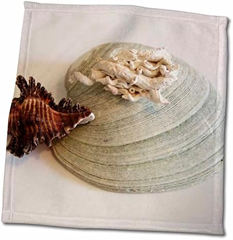 3drose florene decorativo - conchas marítimas em branco - toalhas