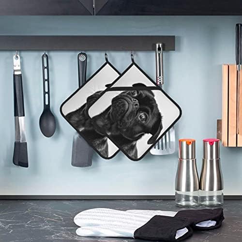 Botes de cão preto de cachorro preto portador de panela: Potolador resistente ao calor de panela de 2 para cozinhar churrasqueiro