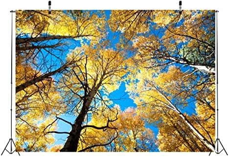 Loccor 10x6.5ft fotografia de outono árvores de cenário em bosques outão paisagem pano de fundo Ação