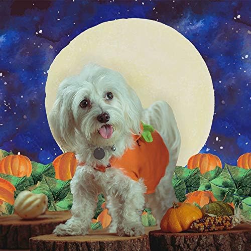 FunnyTree 7x5ft Halloween Pumpkin Field Penmopation para crianças Banner Birthday Party Starry Sky Night Moon Background