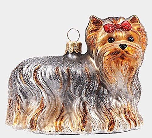 Yorkie Dog With Polish Polish Blown Glass Christmas Ornamento Yorkshire Terrier