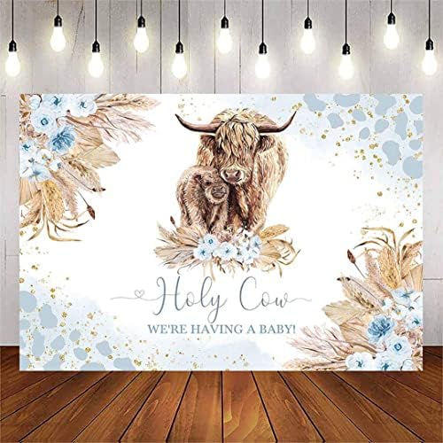 Avezano Highland Cow Baby Charf -Beddrop para menina vaca sagrada Decorações de festas de chá de bebê de vaca alta rosa Estamos tendo