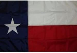 Bandeira do nylon do Texas 10 'x 15'