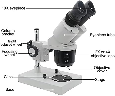 GENIGW 10X-20X-30X-40X Microscópio estéreo binocular Industrial iluminado com ocular para reparo de relógio PCB Inspeção